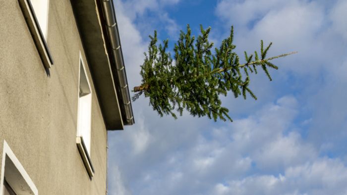 media.media.f6a0d048-490a-49c7-900a-463b