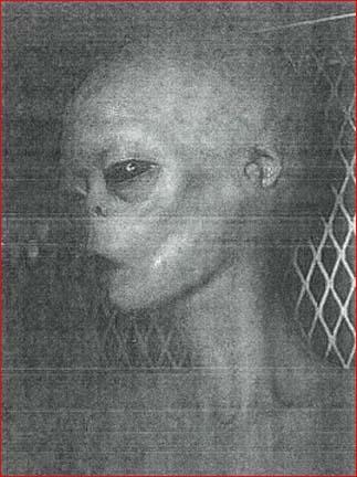 alien 1 
