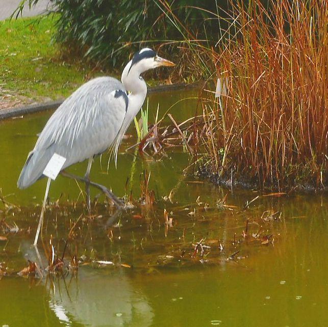 Botanischer Garten