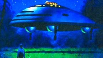 UFO - Wiesengrn 2