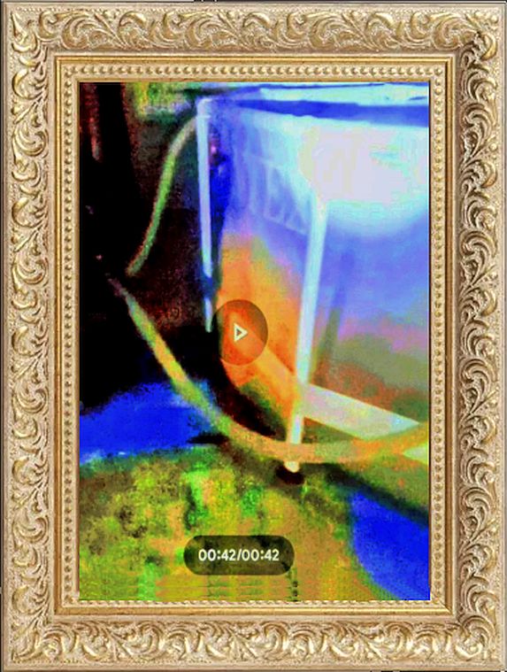 pic1