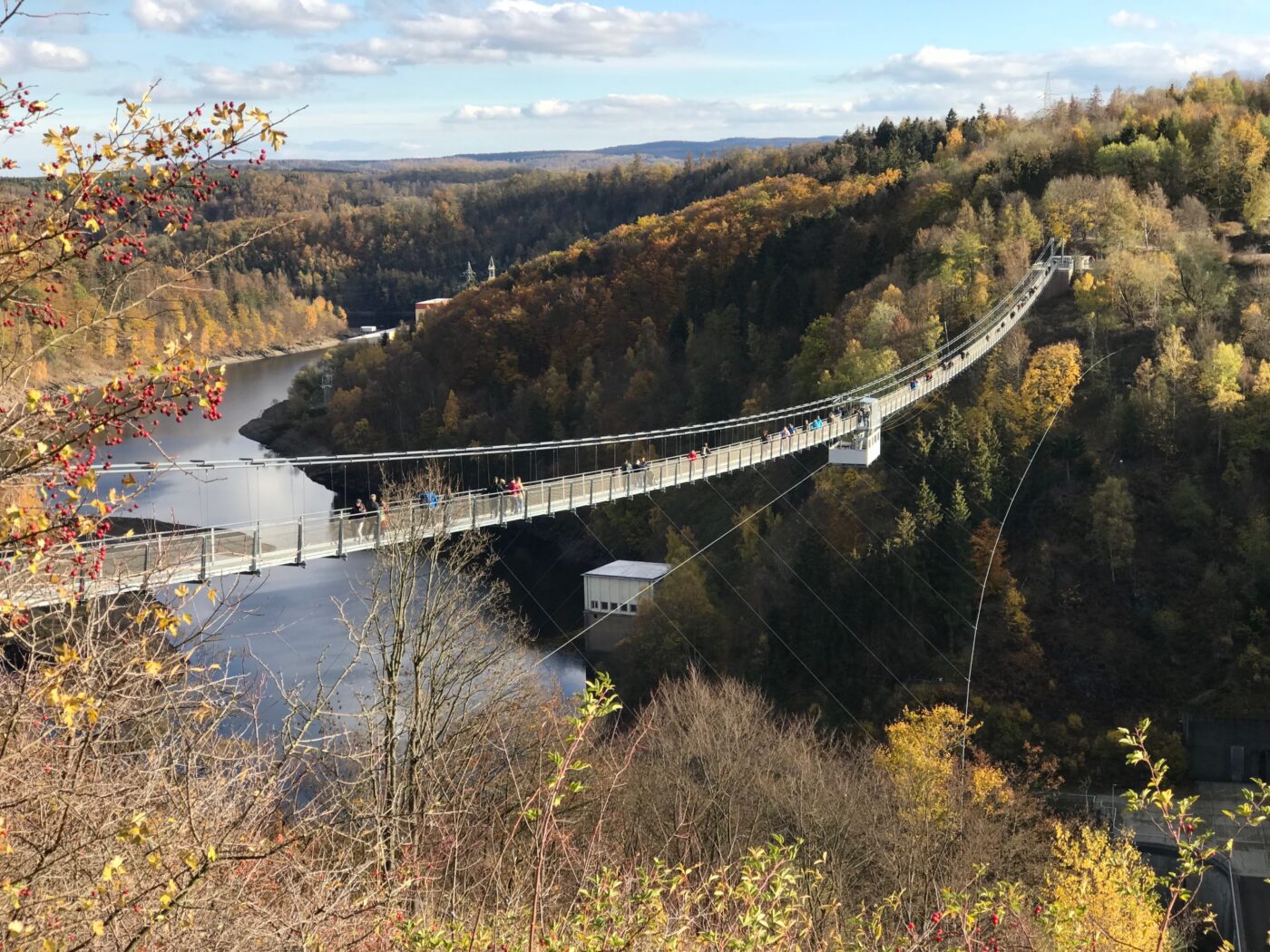 IMG 7506