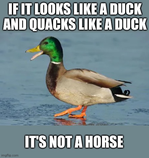 ente 3 - Copy