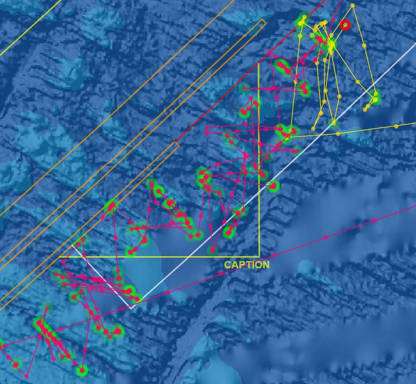 Screenshot 2026-01-01 182158