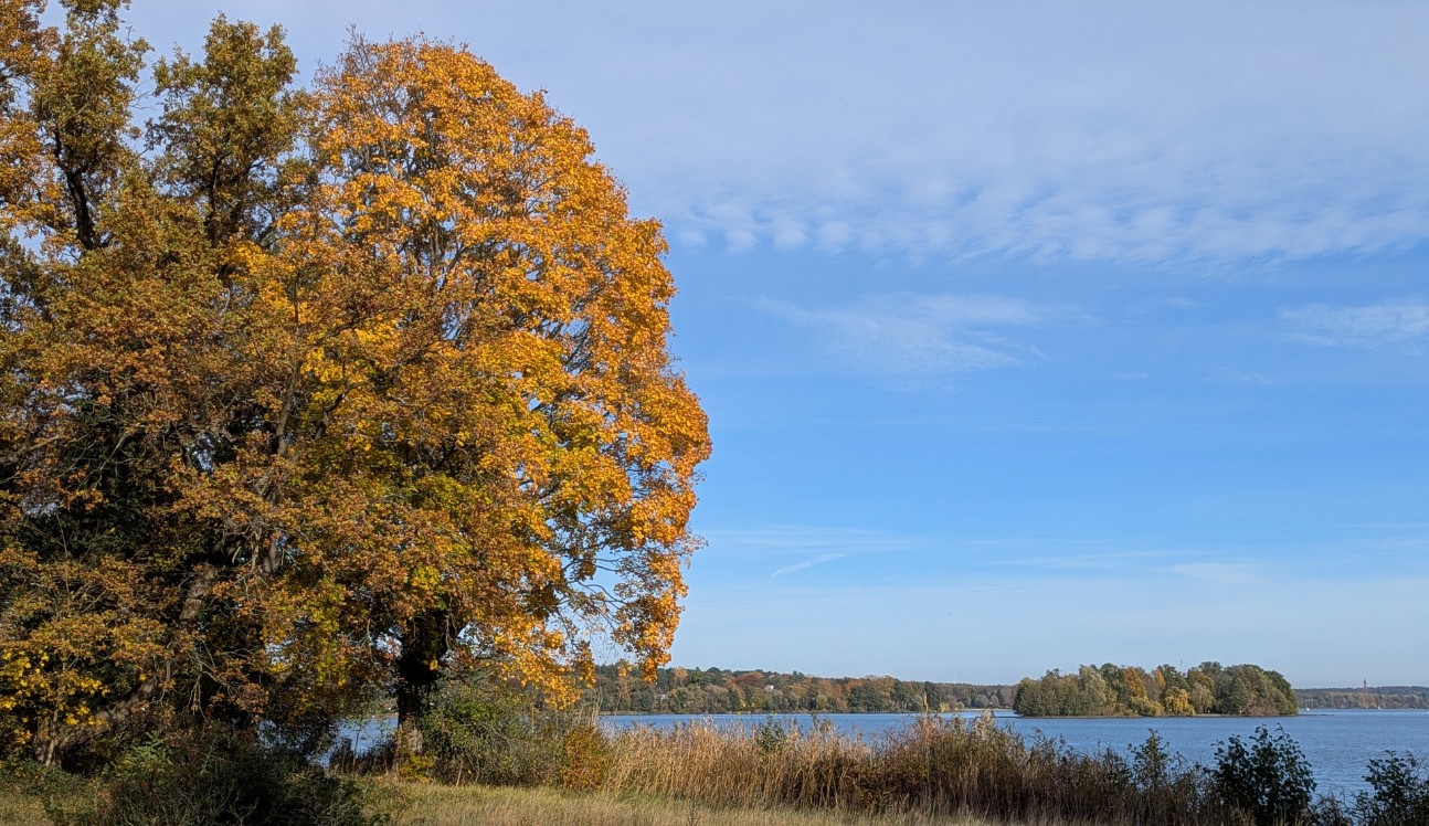 564d35a1-da66-4dbe-b22c-7a75bcbfeb42