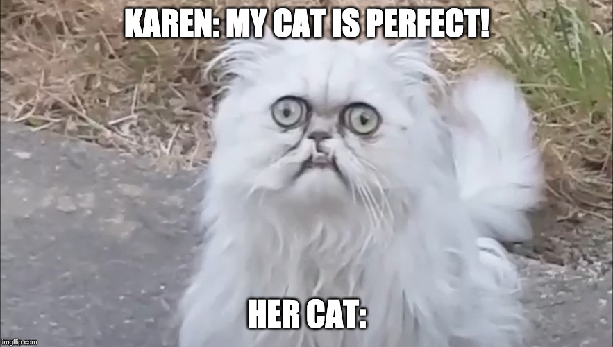Karen my cat is perfect - Copy