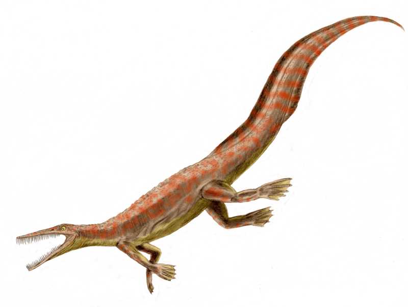 Mesosaurus BW