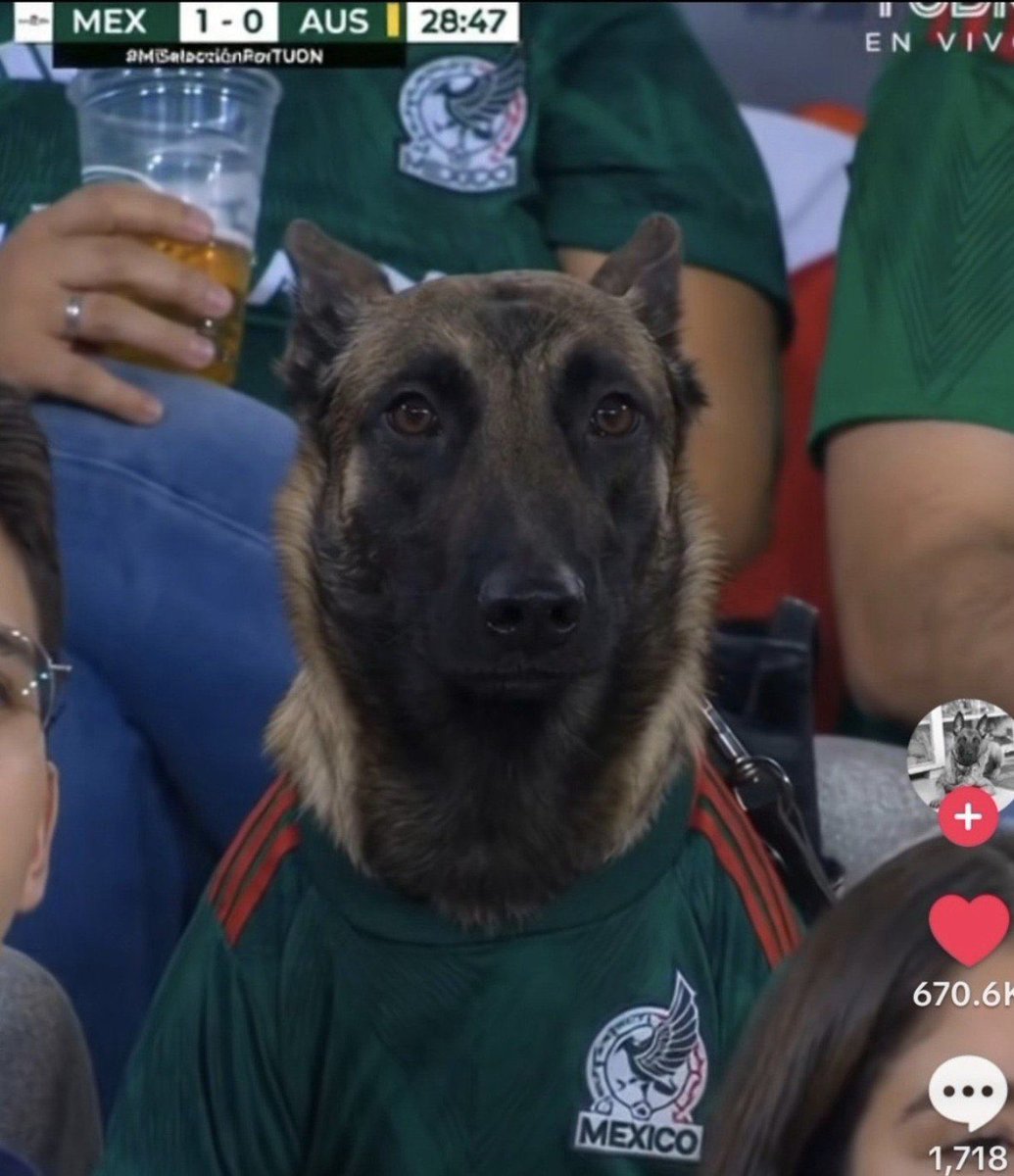 Mex Aus 1 0 - Copy