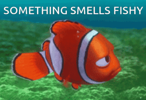 something-smells-fishy-fishy-smell