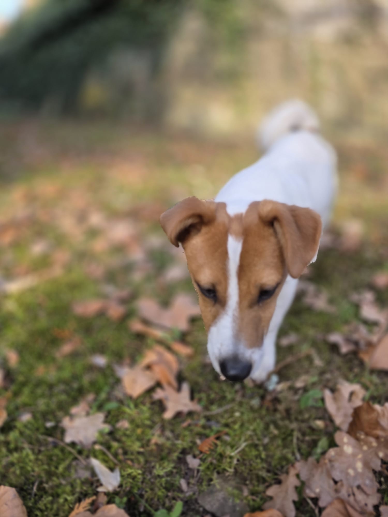 WhatsApp Image 2026-03-08 at 16.21.46