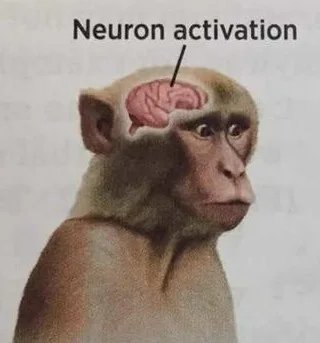 1000017183