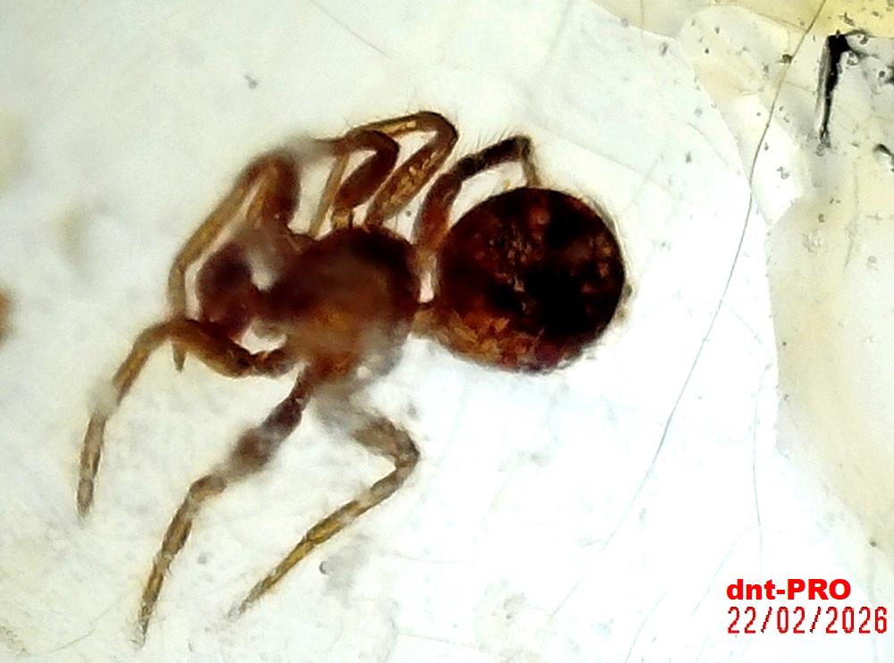 2026 0222 221919 001