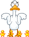 oie overlay