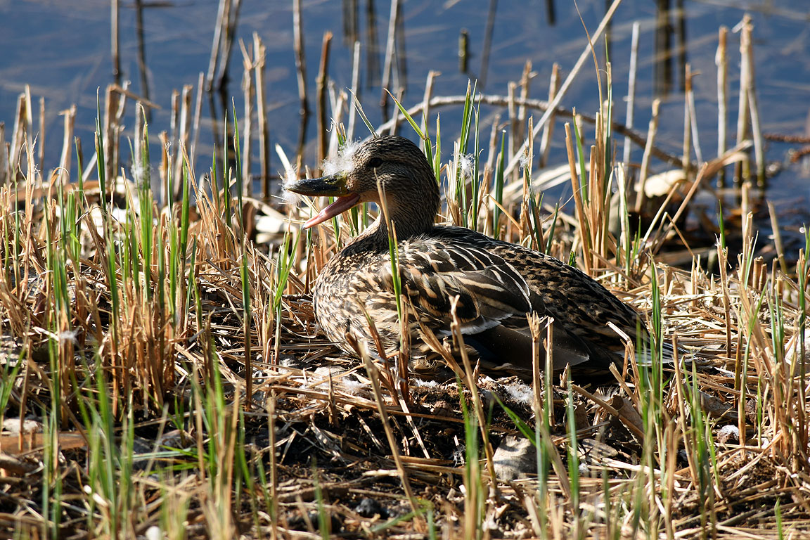 51a36b4b-6da3-47e7-9b1d-fd329409c4be