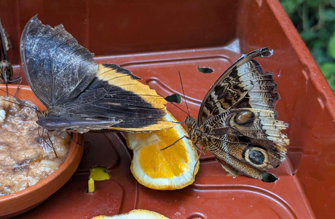 faba4036-f584-4c13-b18b-bdff67327e16