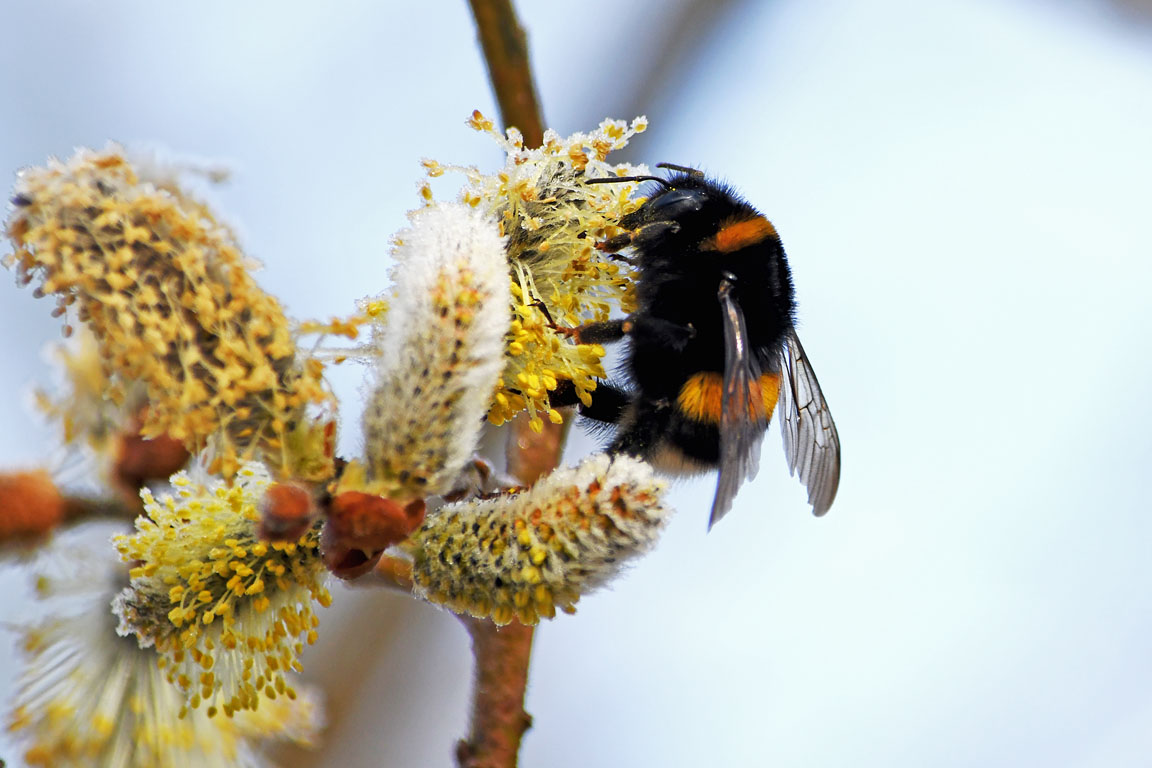 428ee72f-277f-4d87-96d7-eb3a5510d387