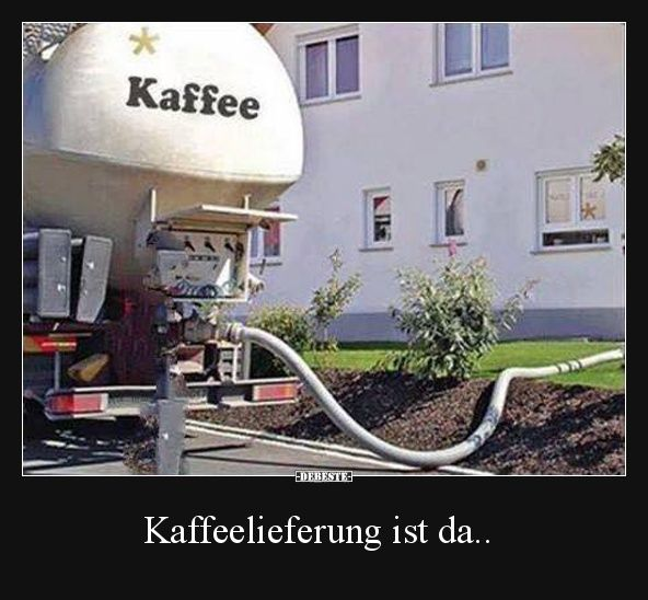 Bild 2026-05-19 040024949
