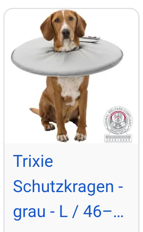 Screenshot 20251108-175240