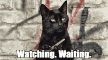 plan-watching-waiting