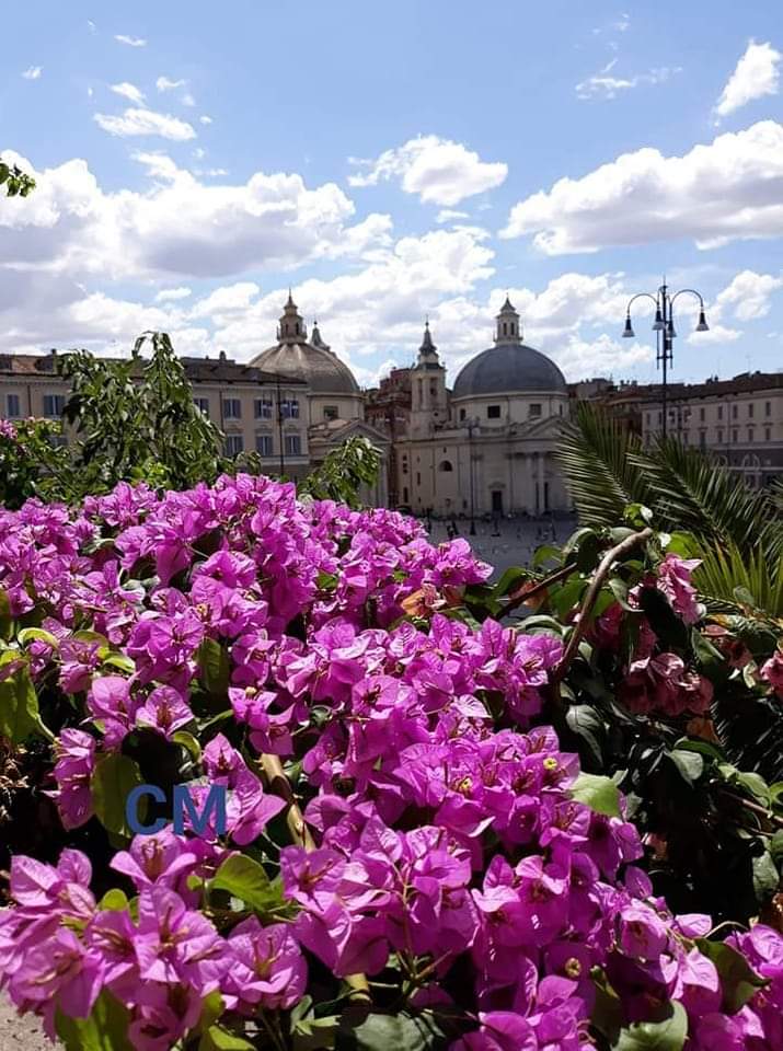 buongiorno roma - Copy