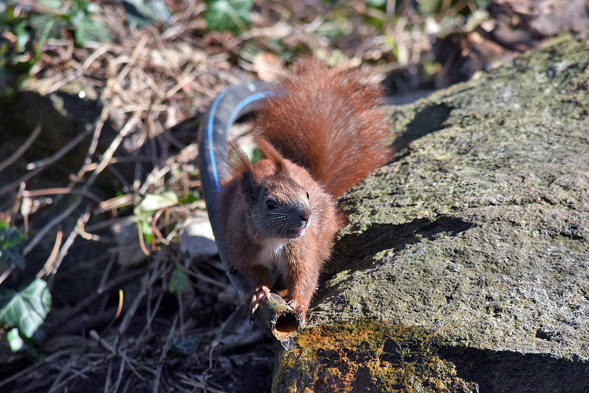 6546bb3e-83e1-44d1-9e13-b49f5ca05cc7