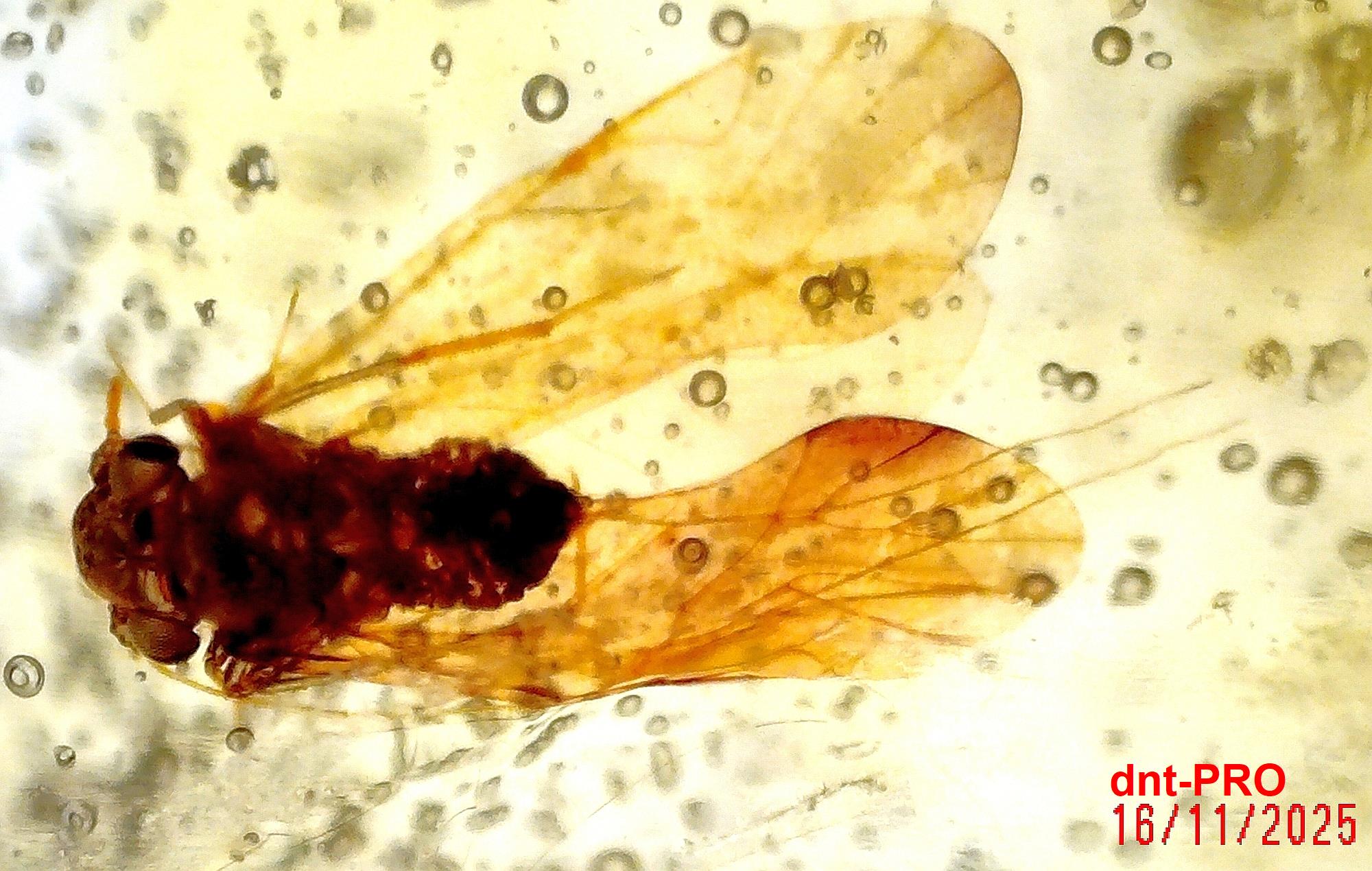 2025 1116 202310 001