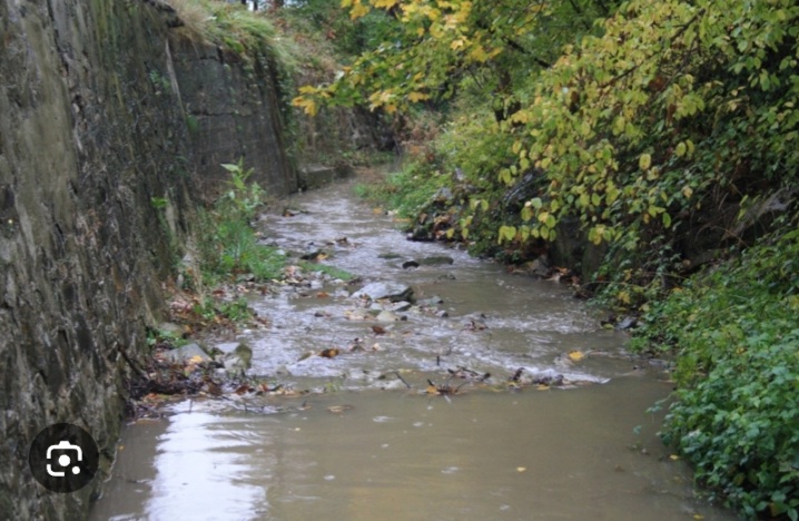 Screenshot 20251030-101504 Google