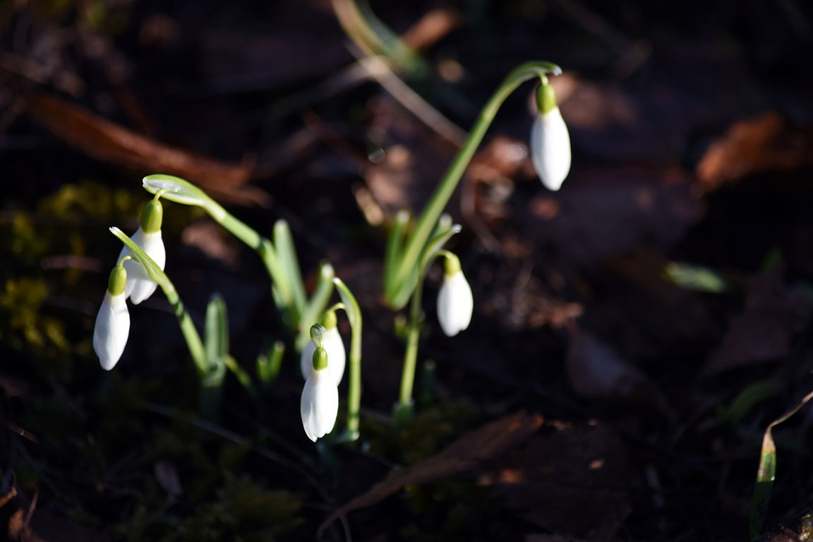 ed6c013d-5e32-44bd-94c3-6f9943c00c26