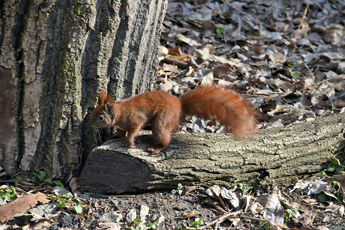 7656ad2e-94b1-4e4f-9de4-c61de4e4c66d