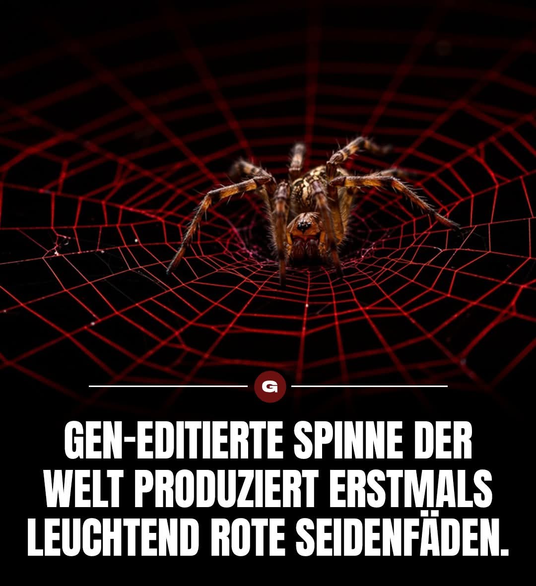 FB IMG 1748710036949