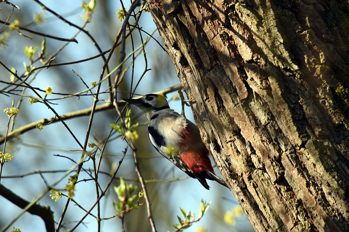 182fbd86-76cc-49b3-87e1-8b23d5a79721