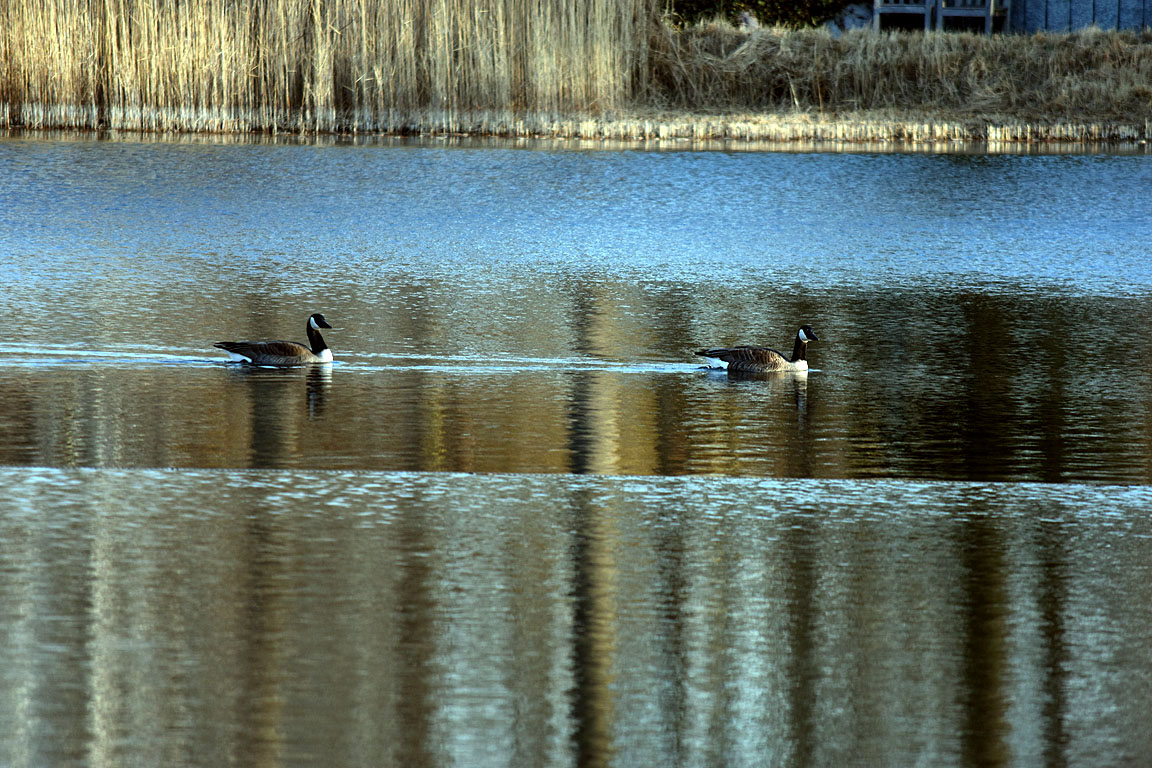 2993f779-140d-4cd5-92e2-7aa072cabf89