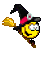 2481039DQDe4AcH