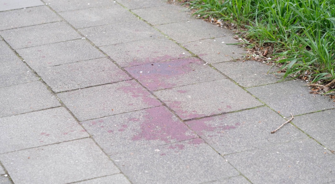 Screenshot 20260404 181957 Chrome