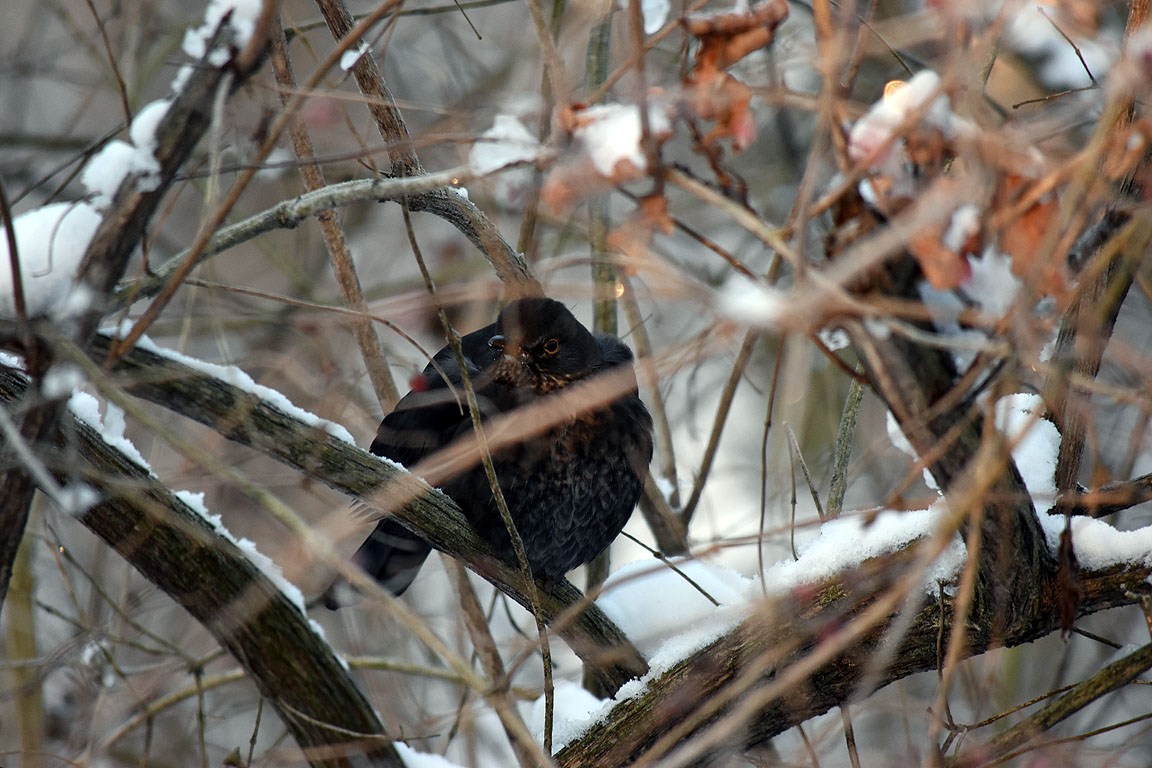 f9affb52-28dd-41c4-befb-f58ee5be49ef