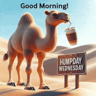 happy-hump-day-wednesday-gif1251