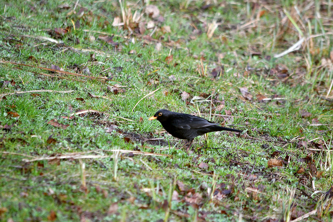 1e0d9857-5191-4cdf-95f4-b0d6a38677f8