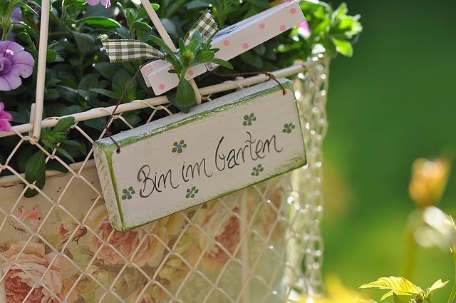 garden-1694158 640