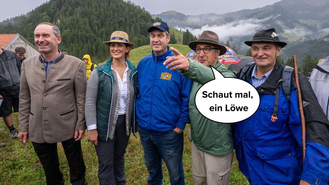 Schweizer Alm meme - Copy