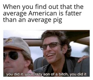 pig-has-16-to-24-body-fat-and-average-am