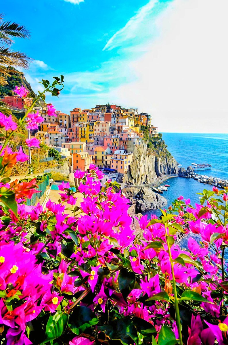Manarola cinque terre - Copy