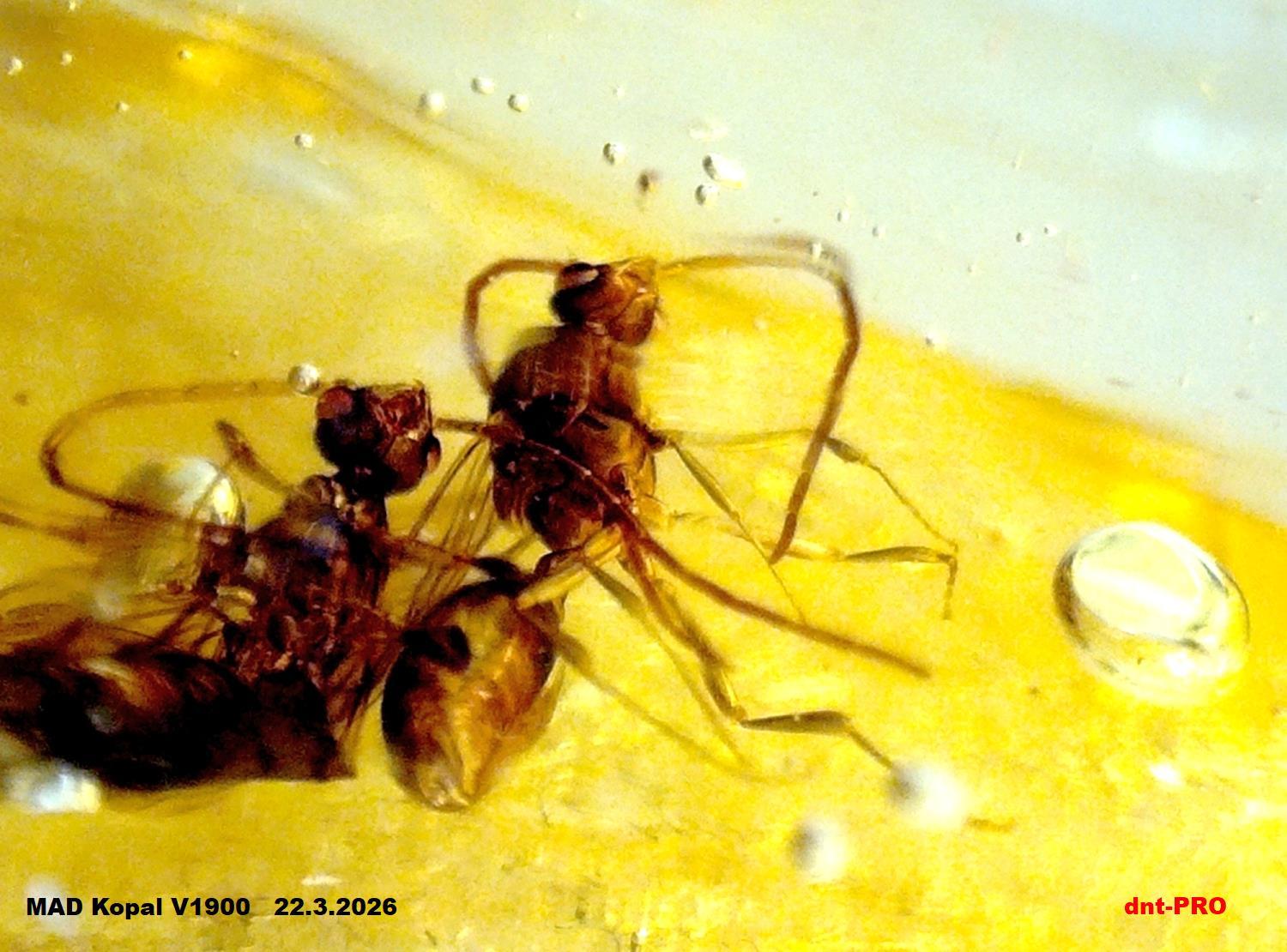 2026 0322 155343 003