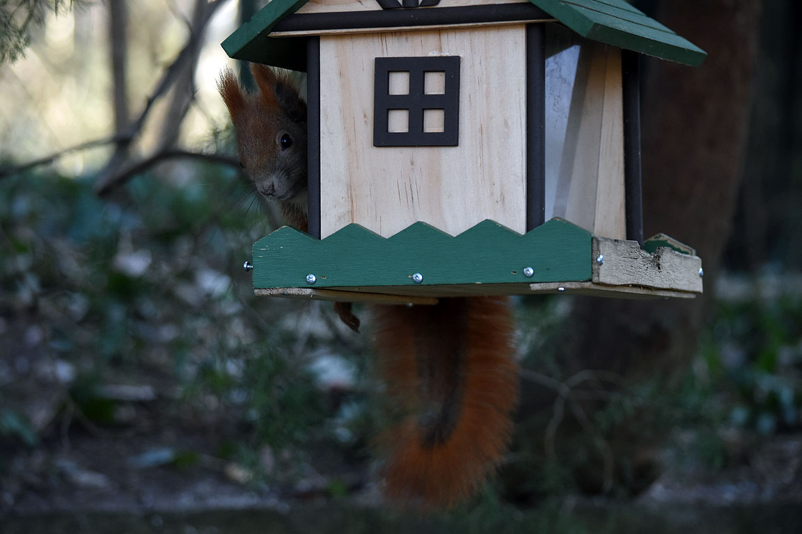 769613d9-1f1e-42e9-ac5d-a2d2fa88aefa