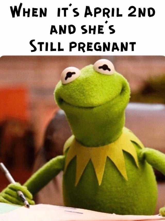 am-i-cooked-fam-v0-8sfqxb691qsg1