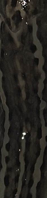20260906 221654