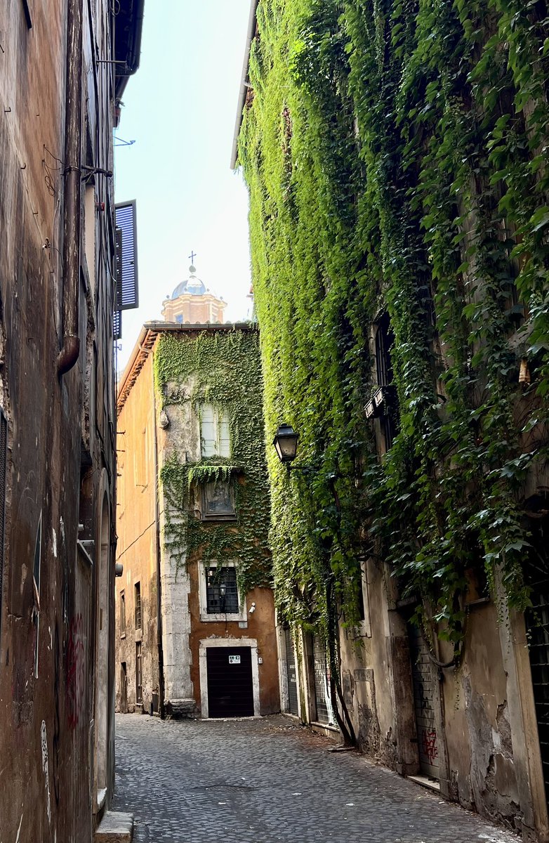 Vicolo della Volpe - Copy