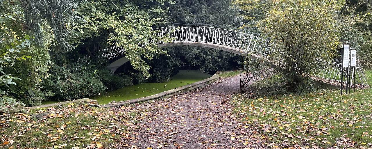 2388744 opener 912753 img 3355