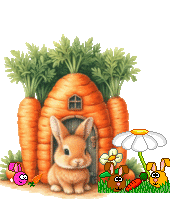 oie overlay