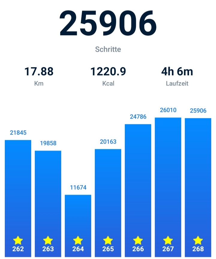 Screenshot 20221117-184425 Pedometer - S