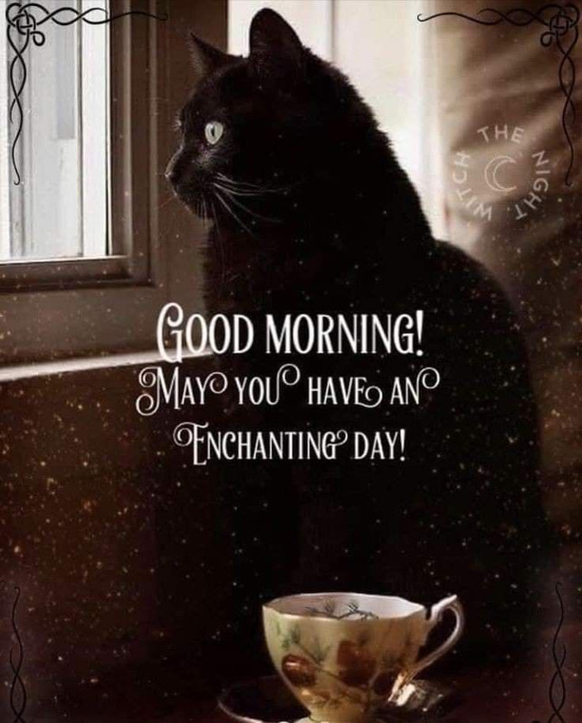 1b56aef3999fc6a4fb5022dc45e7ad3d